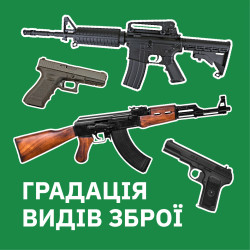 Понимание градации оружия: уровни качества и эффективности огнестрельного оружия